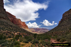 105.2023-03-04-The-Grand-Canyon-USA.-105-
