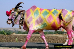 021.2023-03-08-Holi-Festival-of-Colors-India.-21-