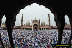 103.2023-03-08-Holi-Festival-of-Colors-India.-103-