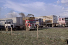 077.2023-03-13-USA-Famous-Truck-Car-Chase-Films.-77-