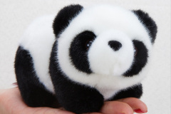 017.2023-03-16-Giant-Pandas-including-Red-Brown-Pandas.-17-