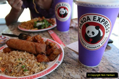 018.2023-03-16-Giant-Pandas-including-Red-Brown-Pandas.-18-