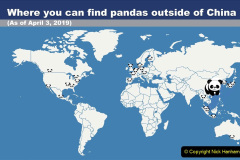 020.2023-03-16-Giant-Pandas-including-Red-Brown-Pandas.-20-