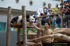 029.2023-03-16-Giant-Pandas-including-Red-Brown-Pandas.-29-