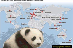 038.2023-03-16-Giant-Pandas-including-Red-Brown-Pandas.-38-