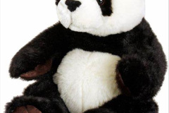 039.2023-03-16-Giant-Pandas-including-Red-Brown-Pandas.-39-