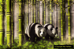 058.2023-03-16-Giant-Pandas-including-Red-Brown-Pandas.-58-