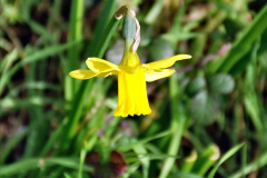 010.2023-03-23-Wiltshire-Holiday-day-two-Bradford-on-Avon-and-the-Kennet-and-Avon-Canal.-10-