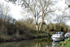 022.2023-03-23-Wiltshire-Holiday-day-two-Bradford-on-Avon-and-the-Kennet-and-Avon-Canal.-22-