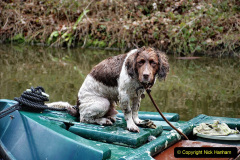 119.2023-03-23-Wiltshire-Holiday-day-two-Bradford-on-Avon-and-the-Kennet-and-Avon-Canal.-119-