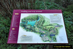 008.2023-03-24-Wiltshire-Holiday-day-three-Stourhead-Gardens-NT.-8-