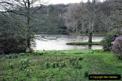 025.2023-03-24-Wiltshire-Holiday-day-three-Stourhead-Gardens-NT.-25-