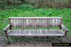 032.2023-03-24-Wiltshire-Holiday-day-three-Stourhead-Gardens-NT.-32-