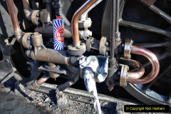 019.2023-03-25-SR-Spring-Steam-Gala.-19-Swanage.-