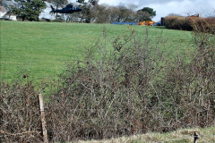127.2023-03-25-SR-Spring-Steam-Gala.-127-Swanage.-