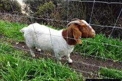 036.2023-03-27-Overnight-stay-in-Bournemouth.-36-