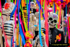 054.2023-05-05-Day-of-the-Dead-in-Mexico.-54-