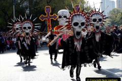 081.2023-05-05-Day-of-the-Dead-in-Mexico.-81-