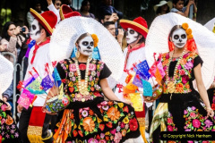 102.2023-05-05-Day-of-the-Dead-in-Mexico.-102-
