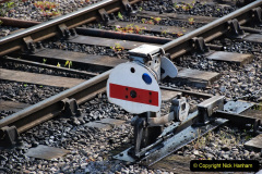 155.2023_05_12-SR-Beer-Festival-Diesel-Gale.-155-