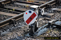 156.2023_05_12-SR-Beer-Festival-Diesel-Gale.-156-