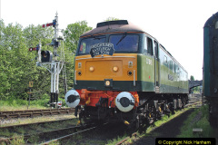 275.2023_05_12-SR-Beer-Festival-Diesel-Gale.-275-