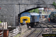 322.2023_05_12-SR-Beer-Festival-Diesel-Gale.-322-