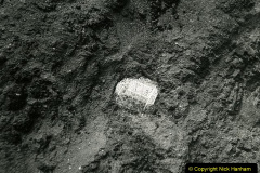018.2023-05-12-Sutton-Hoo-Archalological-Discovery.-18-