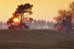 040.2023-05-12-Sutton-Hoo-Archalological-Discovery.-40-