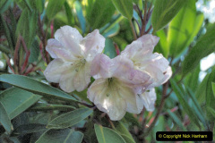 2023 May 20 Carey's Garden, Wareham, Dorset