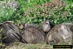 055.2023-05-20-Careys-Wareham-Dorset.-55-