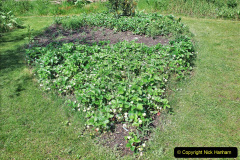 090.2023-05-20-Careys-Wareham-Dorset.-90-