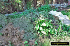 096.2023-05-20-Careys-Wareham-Dorset.-96-