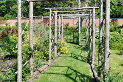 106.2023-05-20-Careys-Wareham-Dorset.-106-