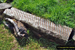 108.2023-05-20-Careys-Wareham-Dorset.-108-