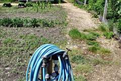 138.2023-05-20-Careys-Wareham-Dorset.-138-