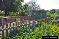 016.2023-05-21-Poole-Park-Poole-Dorset.-16-