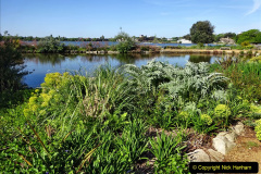 022.2023-05-21-Poole-Park-Poole-Dorset.-22-
