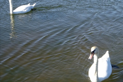 026.2023-05-21-Poole-Park-Poole-Dorset.-26-