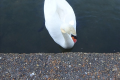 027.2023-05-21-Poole-Park-Poole-Dorset.-27-