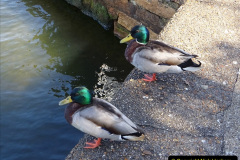 029.2023-05-21-Poole-Park-Poole-Dorset.-29-