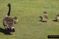 038.2023-05-21-Poole-Park-Poole-Dorset.-38-