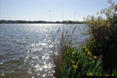 046.2023-05-21-Poole-Park-Poole-Dorset.-46-