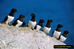 072.2023-05-22-Svalbard-Norway.-72-