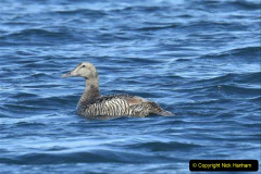 076.2023-05-22-Svalbard-Norway.-76-