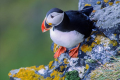 120.2023-05-22-Svalbard-Norway.-120-