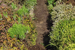 005.2023-May.-32-Garden-greenhouse-converted-to-potting-shed-makeover-carried-out-by-your-Host.-5-