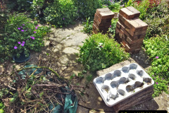 008.2023-May.-32-Garden-greenhouse-converted-to-potting-shed-makeover-carried-out-by-your-Host.-8-