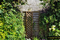 073.2023-May.-32-Garden-greenhouse-converted-to-potting-shed-makeover-carried-out-by-your-Host.-73-