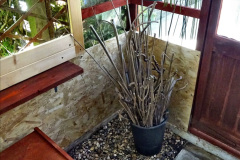 078.2023-May.-32-Garden-greenhouse-converted-to-potting-shed-makeover-carried-out-by-your-Host.-78-